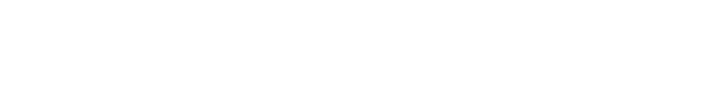 Nanlite Logo